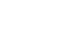 IMP-GROUP-SVG